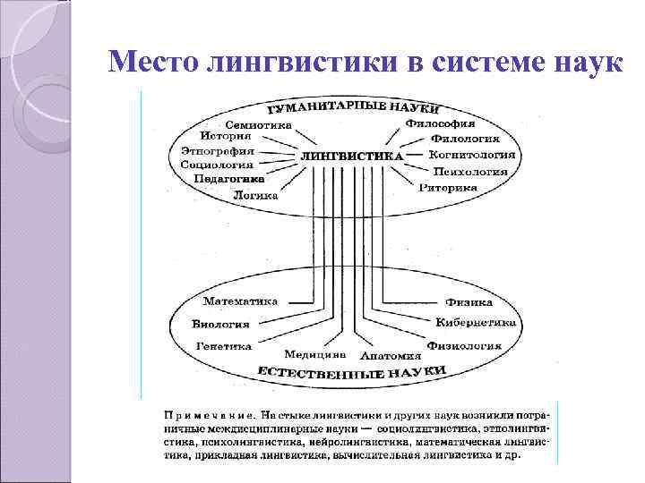 Схема связь дошкольной лингводидактики с другими науками