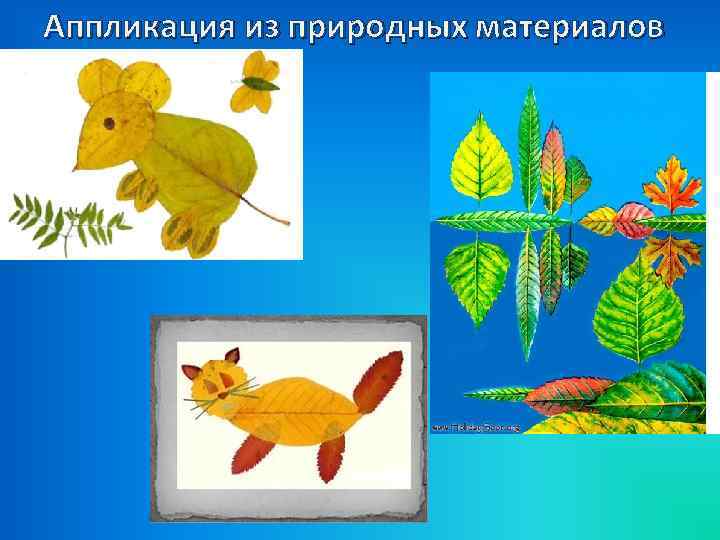 Аппликация из природных материалов 