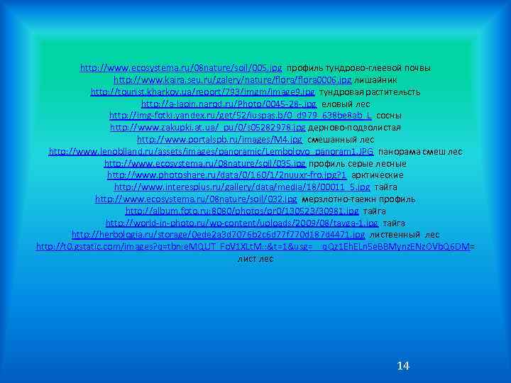 http: //www. ecosystema. ru/08 nature/soil/005. jpg профиль тундрово-глеевой почвы http: //www. kaira. seu. ru/galery/nature/flora