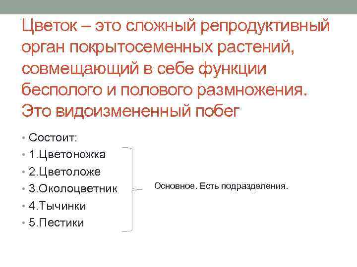 Цветок – это сложный репродуктивный орган покрытосеменных растений, совмещающий в себе функции бесполого и