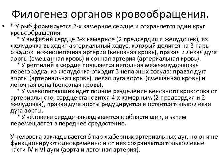 Филогенез органов кровообращения. • * У рыб формируется 2 -х камерное сердце и сохраняется