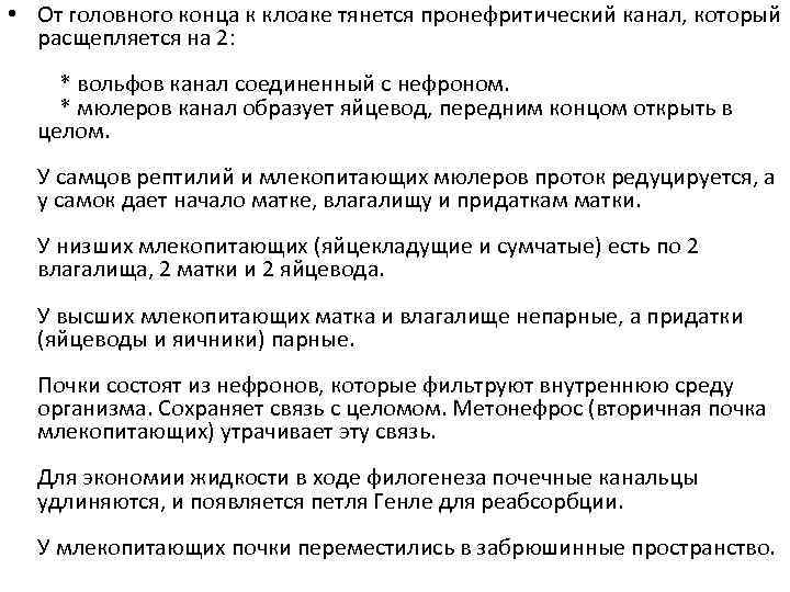  • От головного конца к клоаке тянется пронефритический канал, который расщепляется на 2: