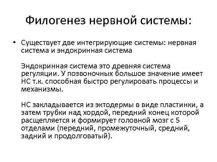 Филогенез нервной системы: • Существует две интегрирующие системы: нервная система и эндокринная система Эндокринная