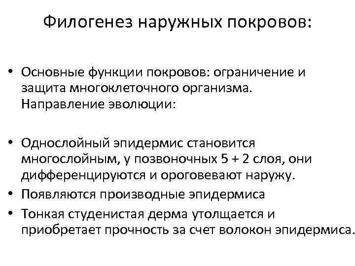 Филогенез наружных покровов: • Основные функции покровов: ограничение и защита многоклеточного организма. Направление эволюции: