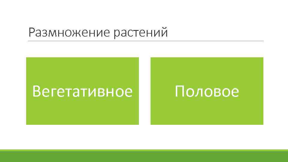 Размножение растений Вегетативное Половое 