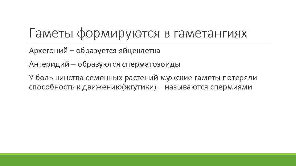 Гаметы формируются в гаметангиях Архегоний – образуется яйцеклетка Антеридий – образуются сперматозоиды У большинства