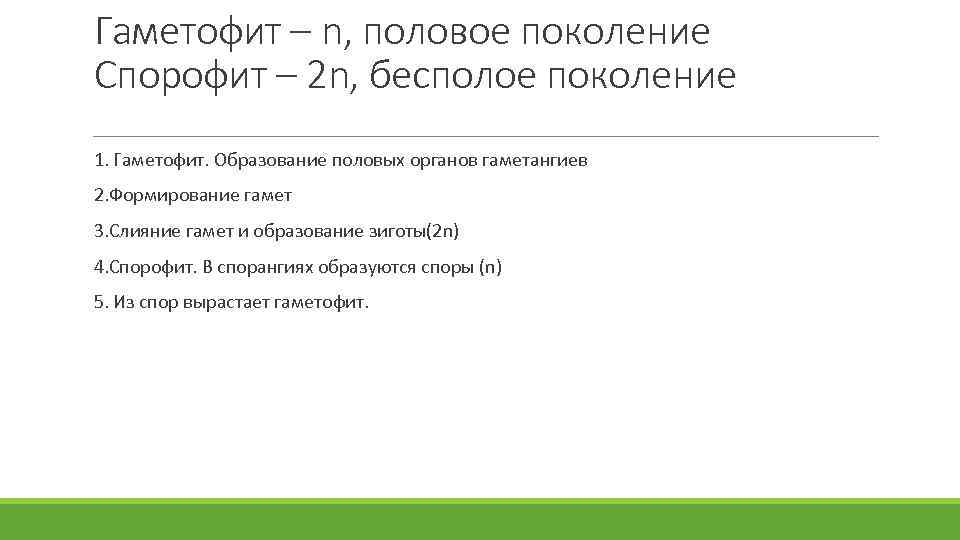 Гаметофит – n, половое поколение Спорофит – 2 n, бесполое поколение 1. Гаметофит. Образование