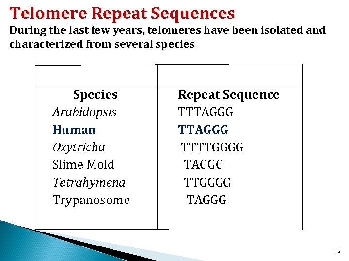 Telomere Repeat Sequences During the last few years, telomeres have been isolated and characterized
