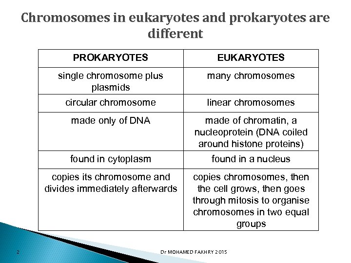 Chromosomes in eukaryotes and prokaryotes are different PROKARYOTES single chromosome plus plasmids many chromosomes