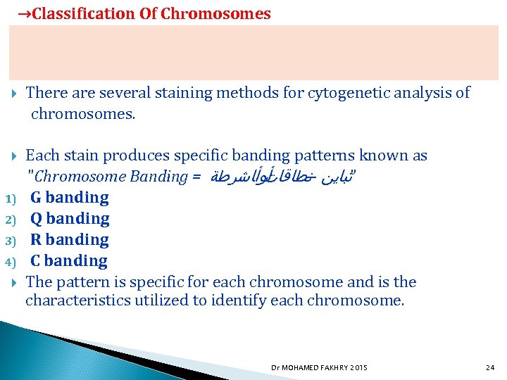 scids tell on what chromosome