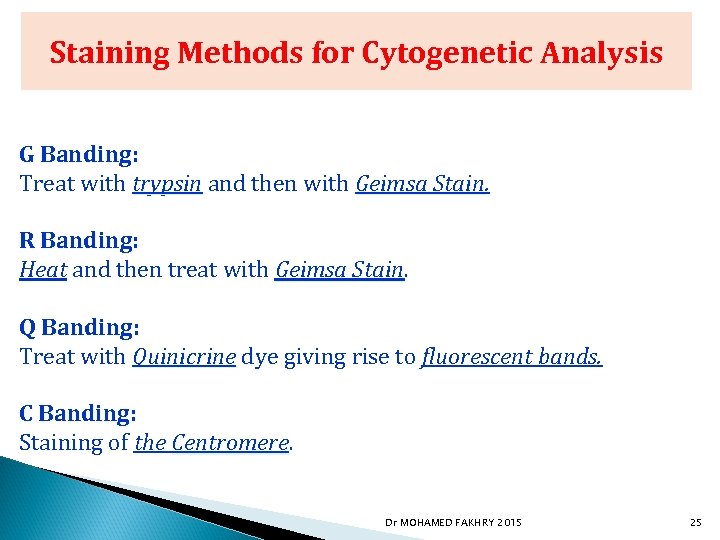 Staining Methods for Cytogenetic Analysis G Banding: Treat with trypsin and then with Geimsa