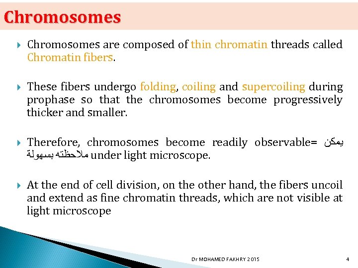 Chromosomes are composed of thin chromatin threads called Chromatin fibers. These fibers undergo folding,