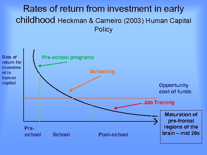 Rates of return from investment in early childhood Heckman & Carneiro (2003) Human Capital