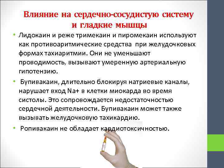 Влияние на сердечно-сосудистую систему и гладкие мышцы • Лидокаин и реже тримекаин и пиромекаин