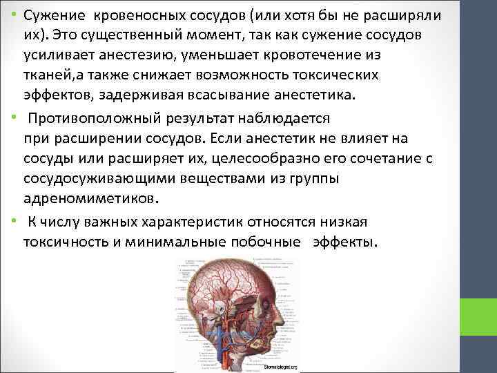  • Сужение кровеносных сосудов (или хотя бы не расширяли их). Это существенный момент,
