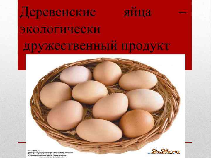 Деревенские яйца – экологически дружественный продукт 