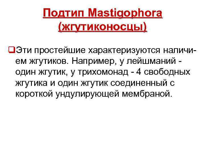 Подтип Mastigophora (жгутиконосцы) q. Эти простейшие характеризуются наличием жгутиков. Например, у лейшманий один жгутик,