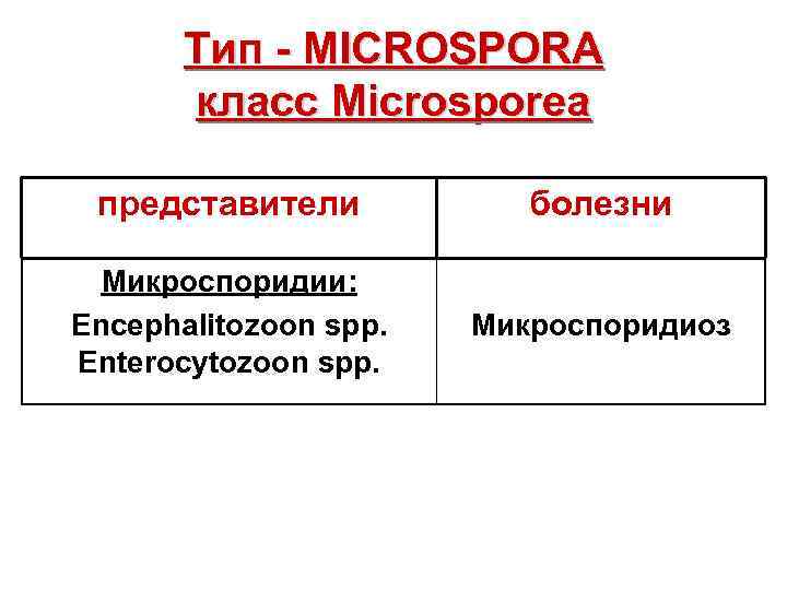 Тип - MICROSPORA класс Microsporea представители болезни Микроспоридии: Encephalitozoon spp. Enterocytozoon spp. Микроспоридиоз 