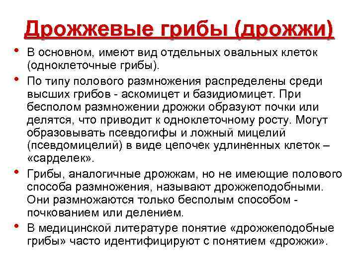  • • Дрожжевые грибы (дрожжи) В основном, имеют вид отдельных овальных клеток (одноклеточные