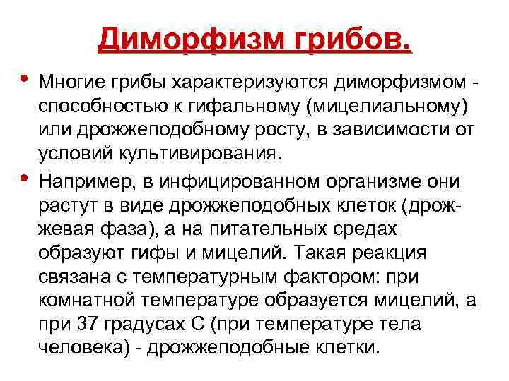 Диморфизм грибов. • • Многие грибы характеризуются диморфизмом способностью к гифальному (мицелиальному) или дрожжеподобному