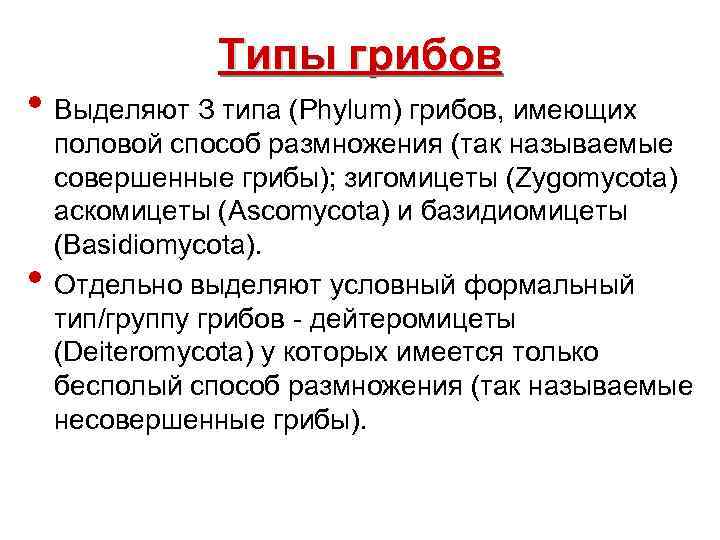 Типы грибов • Выделяют З типа (Рhуlum) грибов, имеющих • половой способ размножения (так
