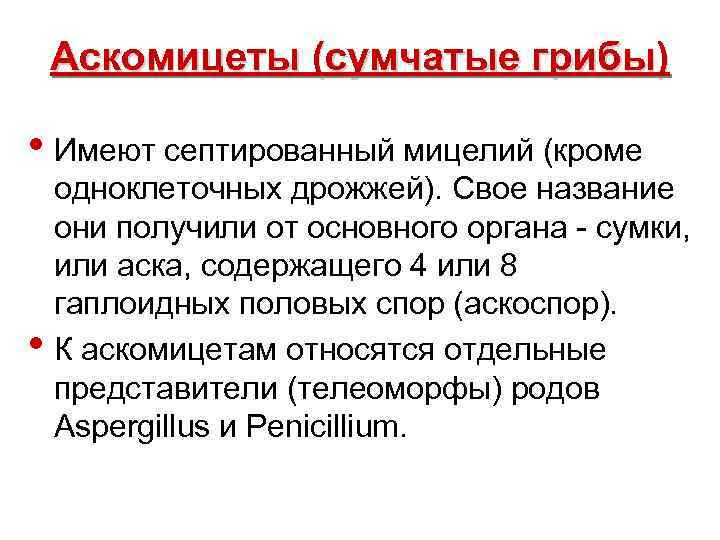Аскомицеты (сумчатые грибы) • Имеют септированный мицелий (кроме • одноклеточных дрожжей). Свое название они
