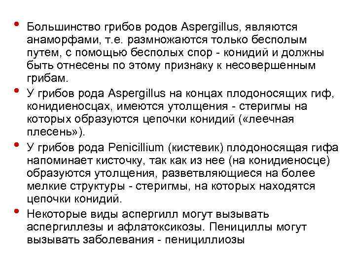  • • Большинство грибов родов Aspergillus, являются анаморфами, т. е. размножаются только бесполым