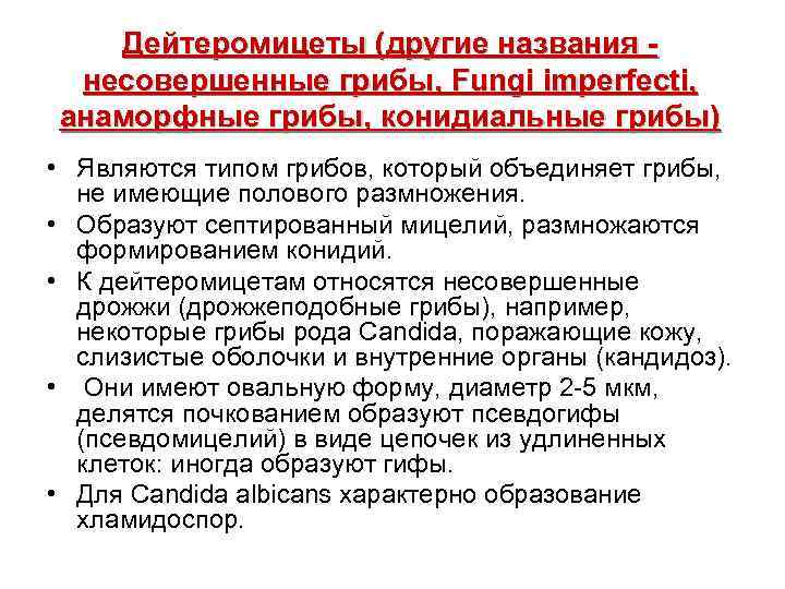 Дейтеромицеты (другие названия несовершенные грибы, Fungi imperfecti, анаморфные грибы, конидиальные грибы) • Являются типом
