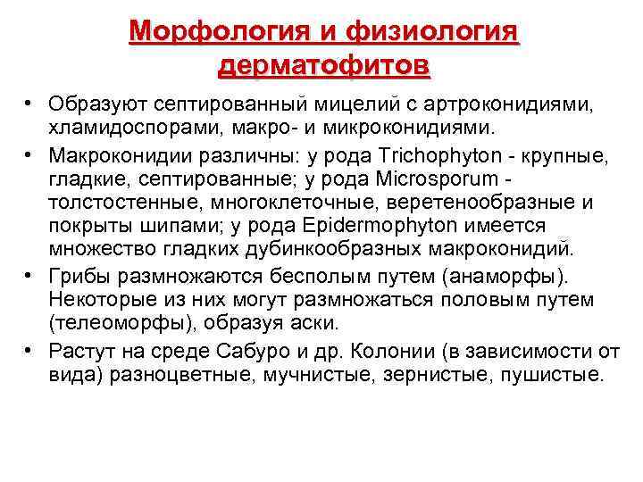 Морфология и физиология дерматофитов • Образуют септированный мицелий с артроконидиями, хламидоспорами, макро- и микроконидиями.