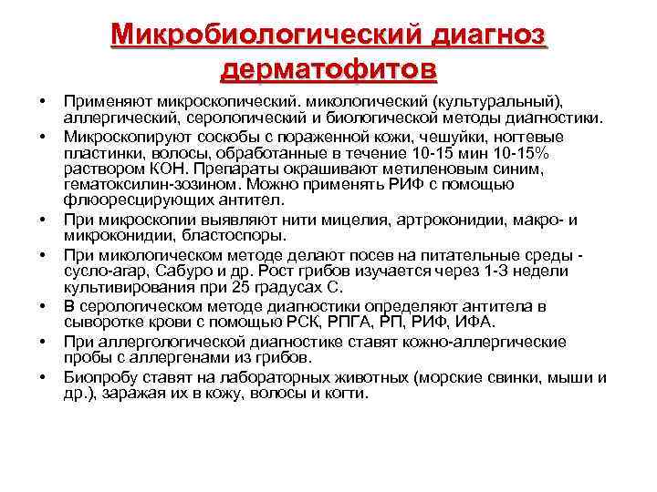 Микробиологический диагноз дерматофитов • • Применяют микроскопический. микологический (культуральный), аллергический, серологический и биологической методы
