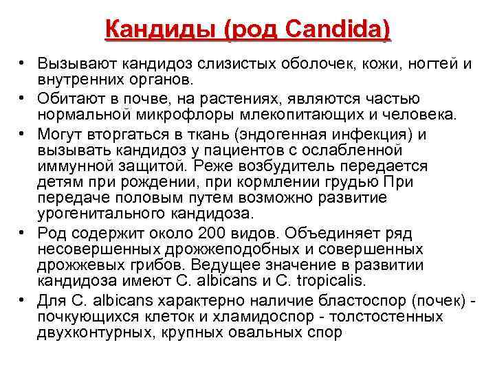 Кандиды (род Саndida) • Вызывают кандидоз слизистых оболочек, кожи, ногтей и внутренних органов. •