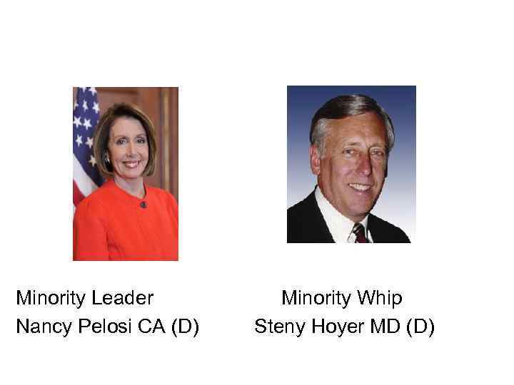 Minority Leader Nancy Pelosi CA (D) Minority Whip Steny Hoyer MD (D) 