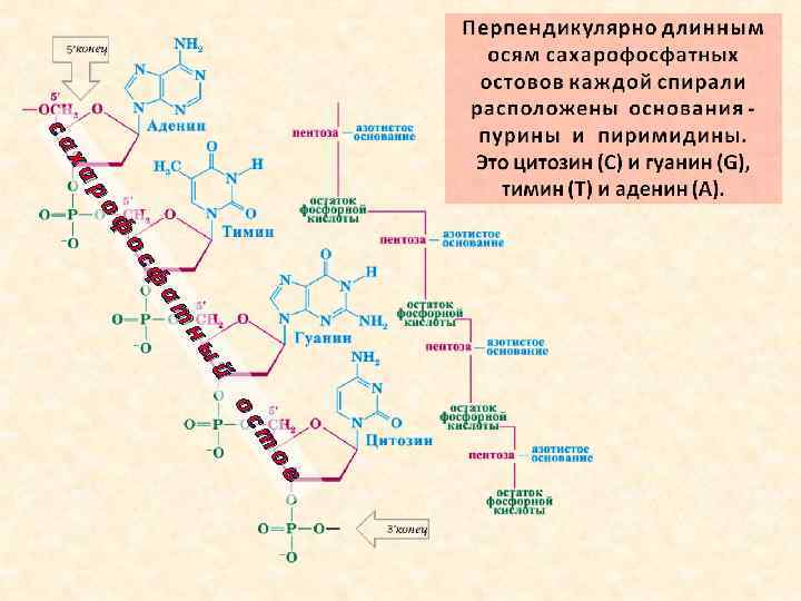 са са ха ха ро ро с ос фо ф т ат фа ф