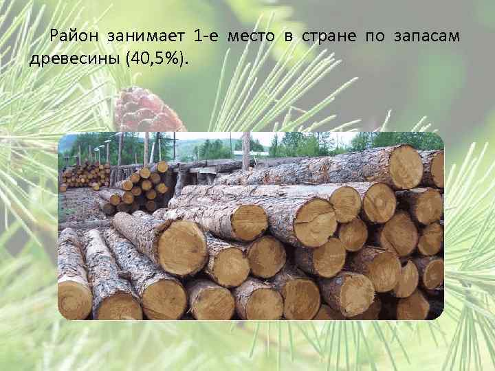 Район занимает 1 -е место в стране по запасам древесины (40, 5%). 