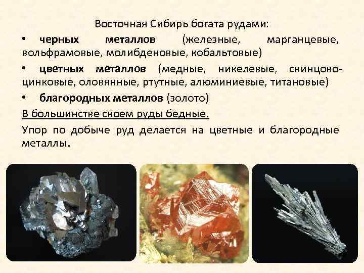 Восточная Сибирь богата рудами: • черных металлов (железные, марганцевые, вольфрамовые, молибденовые, кобальтовые) • цветных