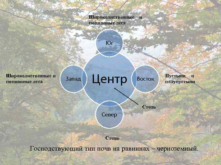 Широколиственные смешанные леса и Юг Широколиственные и смешанные леса Запад Центр Восток Пустыни и