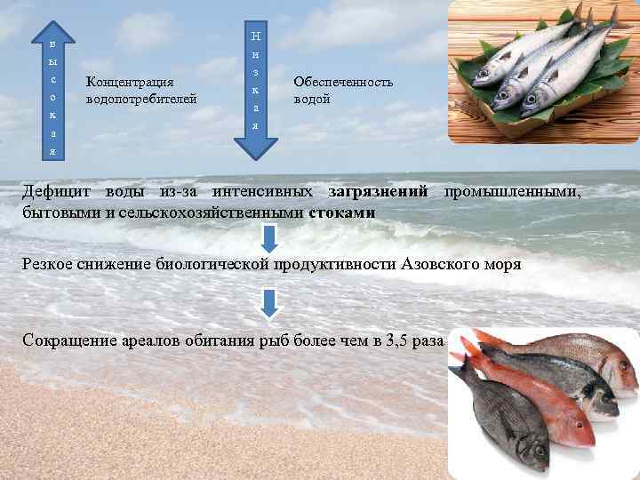 в ы с о к а я Концентрация водопотребителей Н и з к а