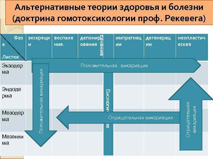 Альтернативные теории здоровья и болезни (доктрина гомотоксикологии проф. Рекевега) Мезодер ма Мезенхи ма неопластич