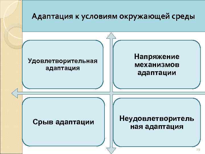 Адаптация к условиям окружающей среды Удовлетворительная адаптация Напряжение механизмов адаптации Срыв адаптации Неудовлетворитель ная