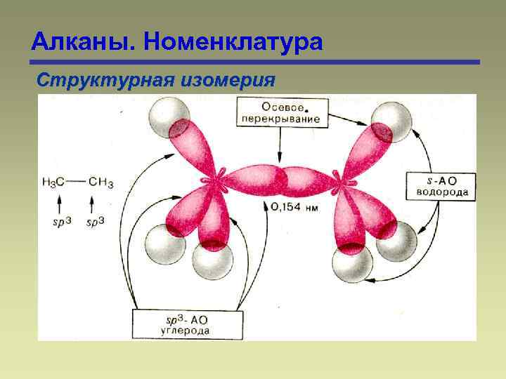Алканы. Номенклатура Структурная изомерия 