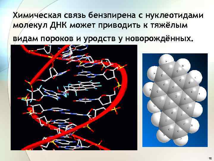 Химическая связь бензпирена с нуклеотидами молекул ДНК может приводить к тяжёлым видам пороков и