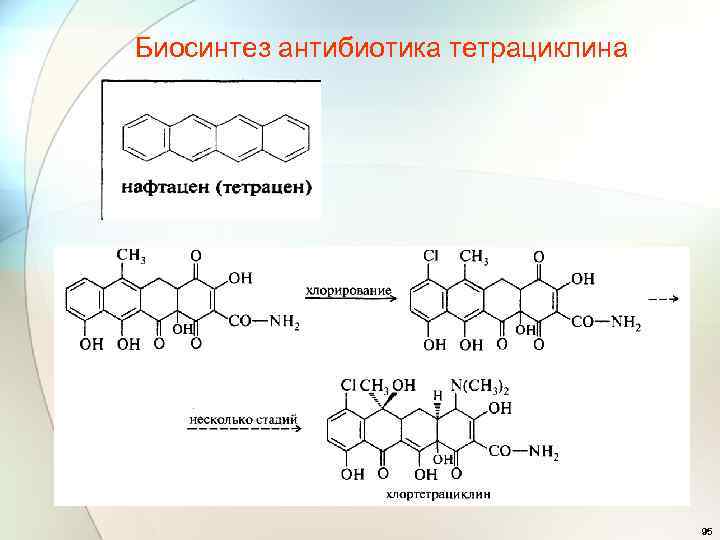 Биосинтез антибиотика тетрациклина 95 