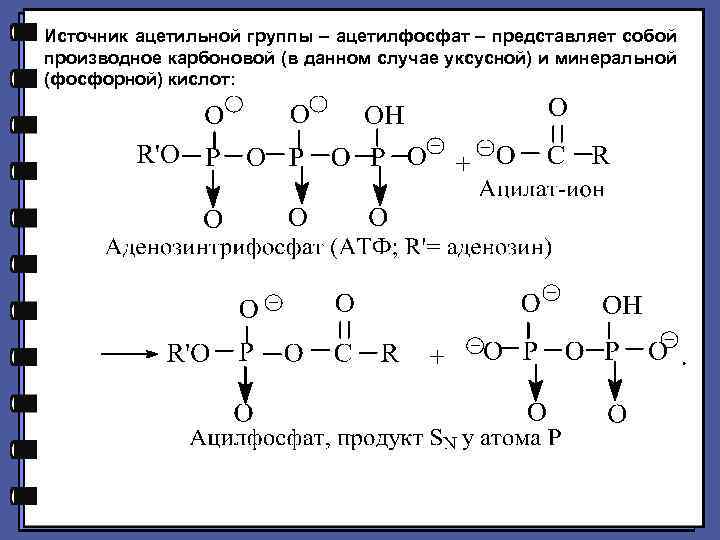 Источник ацетильной группы ацетилфосфат представляет собой производное карбоновой (в данном случае уксусной) и минеральной