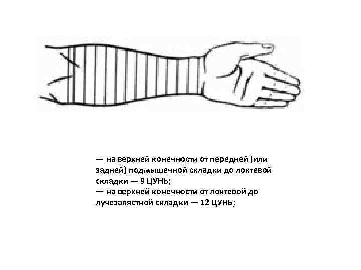 — на верхней конечности от передней (или задней) подмышечной складки до локтевой складки —