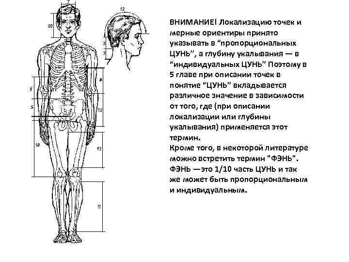 Изображение состоит из совокупности точек в