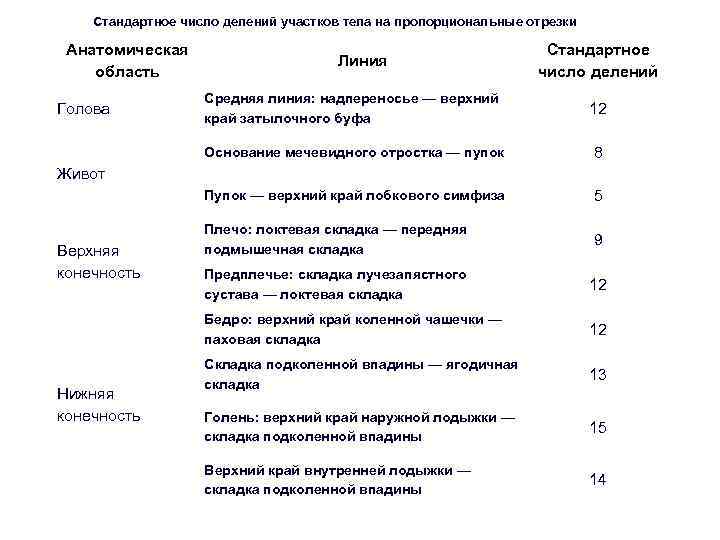Стандартное число делений участков тела на пропорциональные отрезки Анатомическая область Линия Стандартное число делений