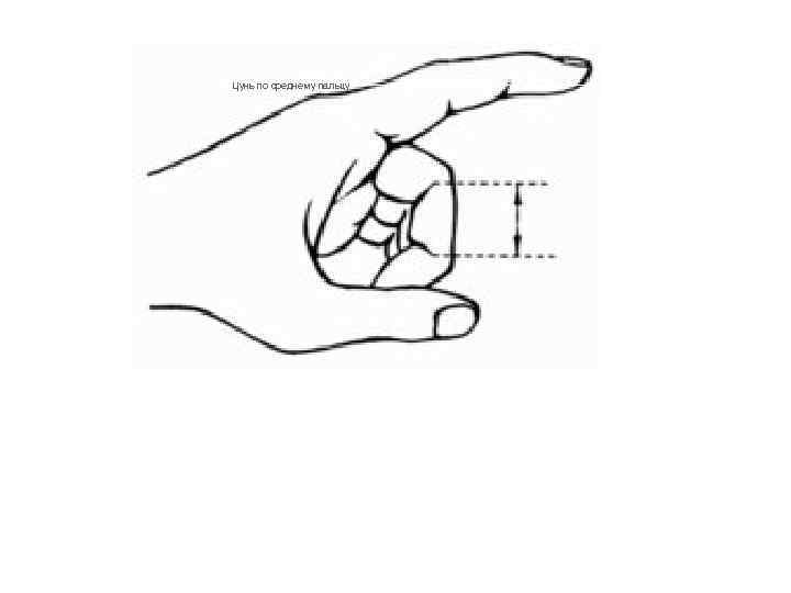 Цунь по среднему пальцу 