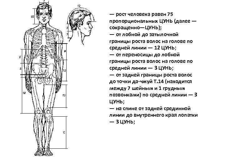 Людей равен 4 8