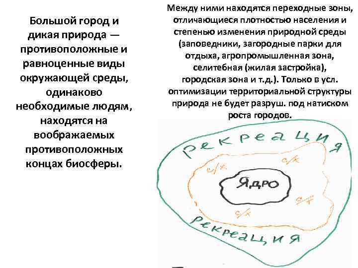 Большой город и дикая природа — противоположные и равноценные виды окружающей среды, одинаково необходимые