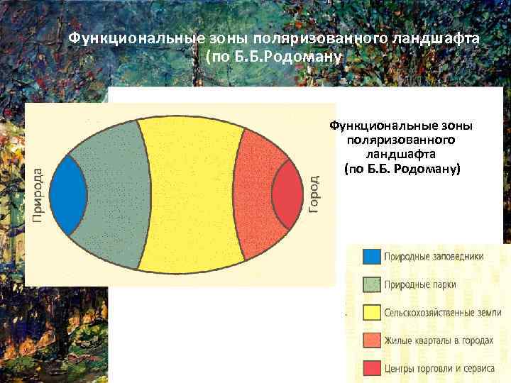 Функциональные зоны поляризованного ландшафта (по Б. Б. Родоману) 